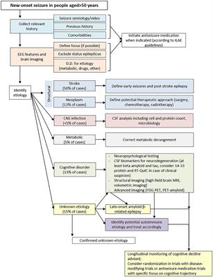 Clinical and Instrumental Characterization of Patients With Late-Onset Epilepsy